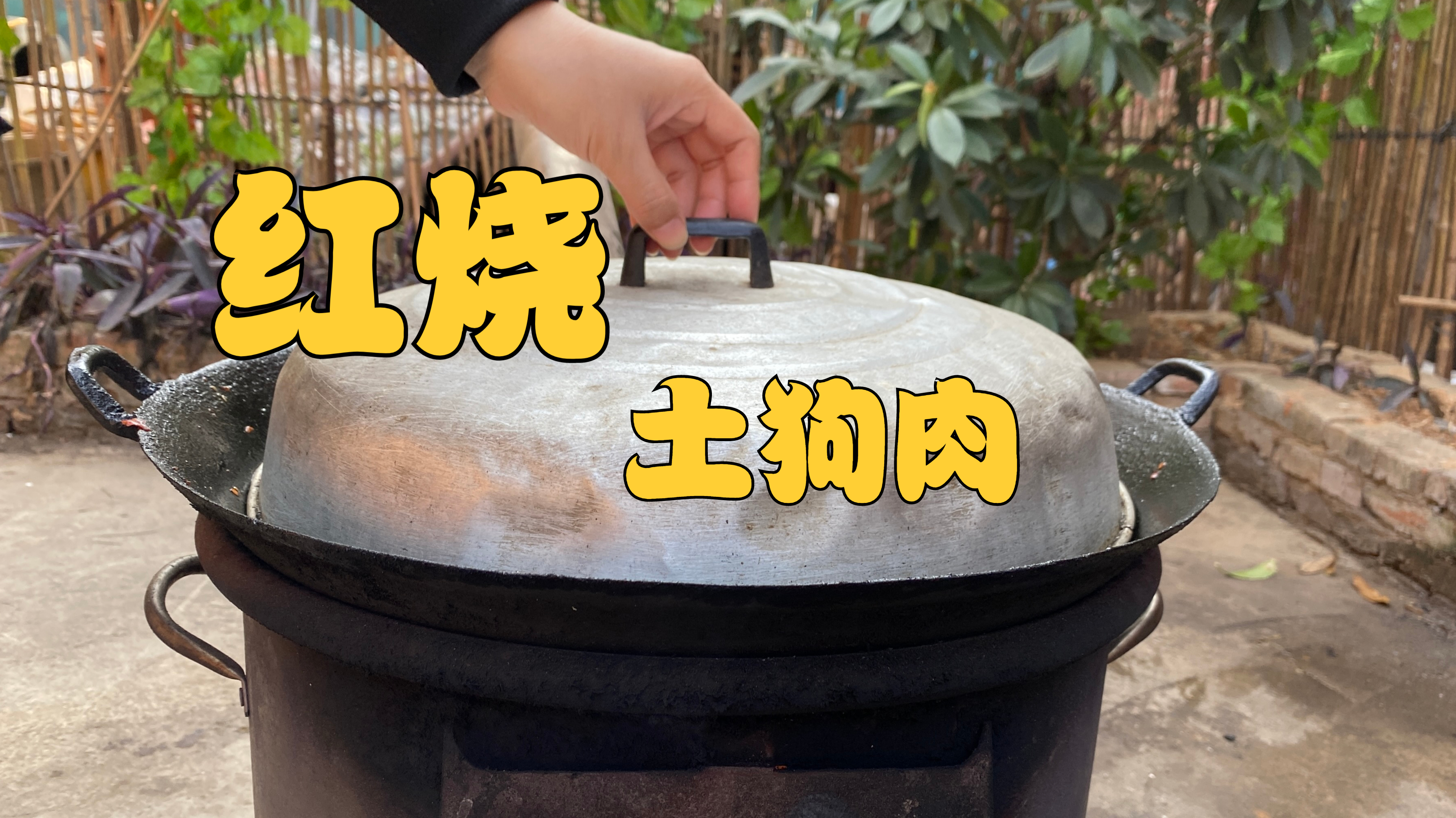 夏天里，红烧土狗肉这样吃才叫爽，出锅那一刻，看饿了