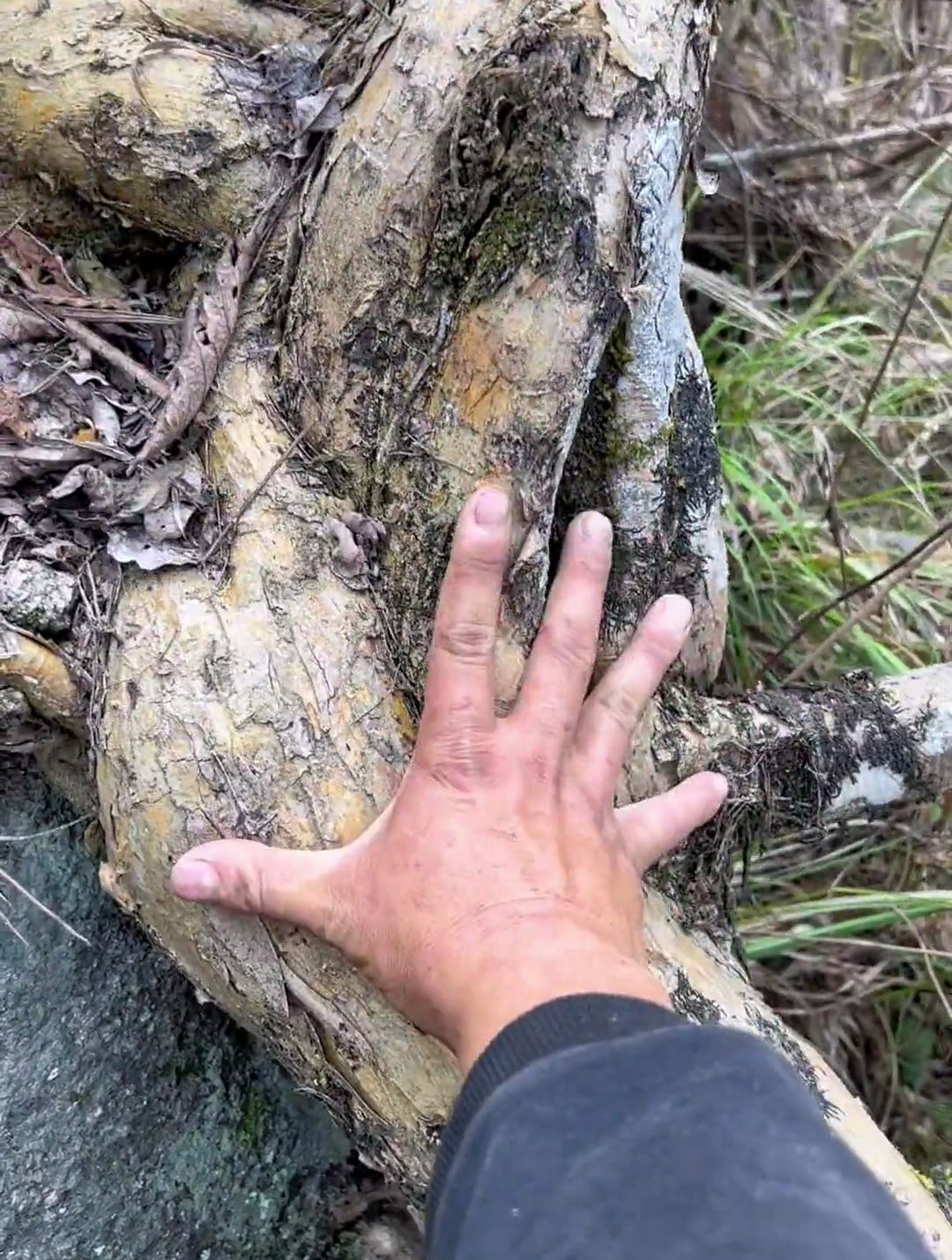 你没有见过这么大的穿破石吗?