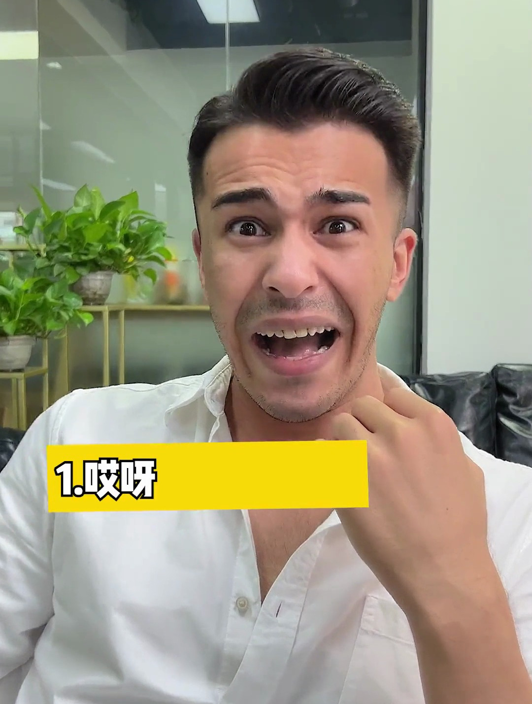 挑战你的智慧:看看你能回答出几个豆爷的问题