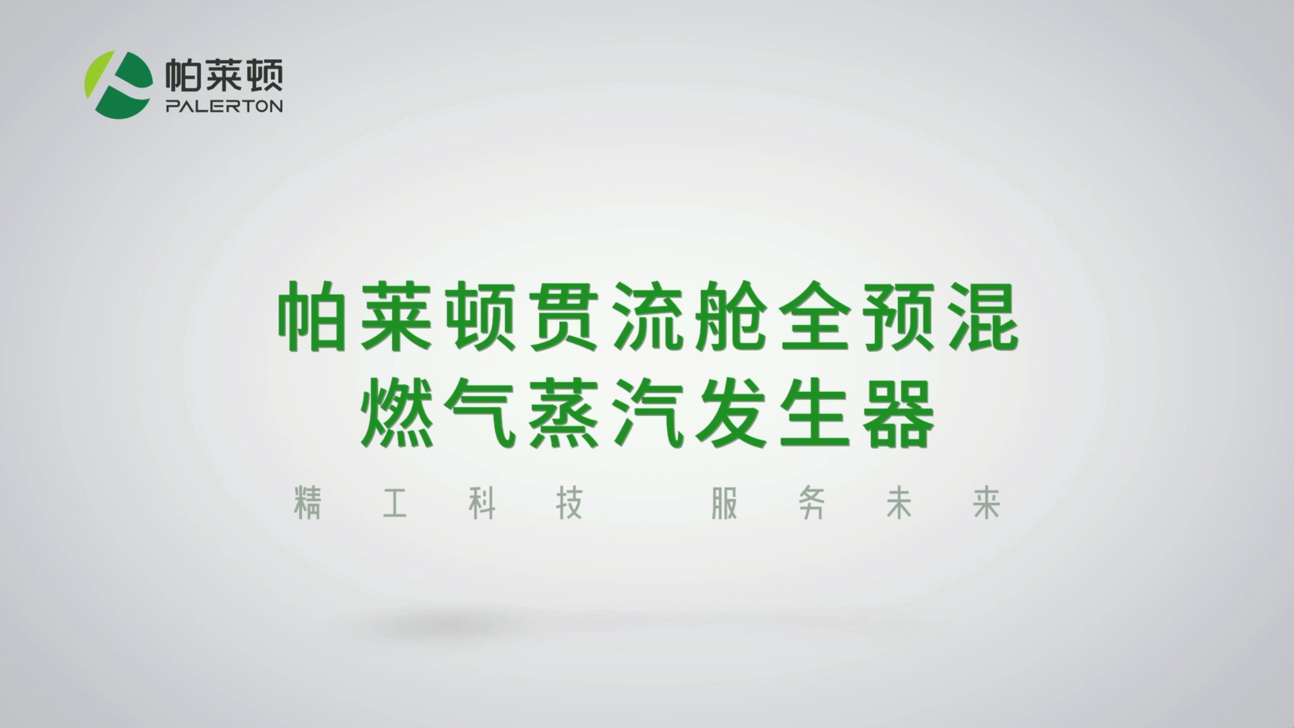 蒸汽发生器 燃气版