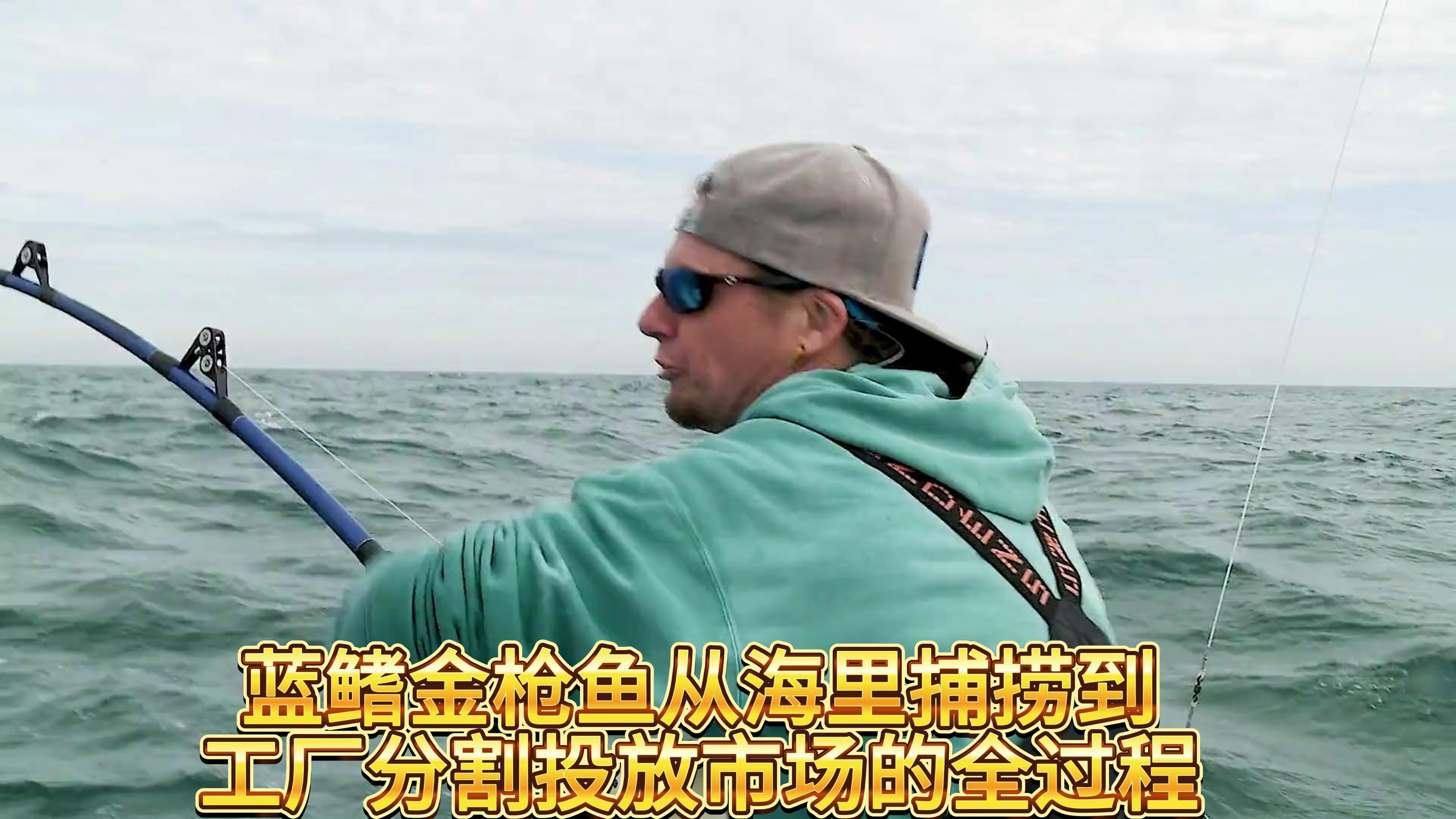 蓝鳍金枪鱼从海里捕捞到工厂分割投放市场的全环节