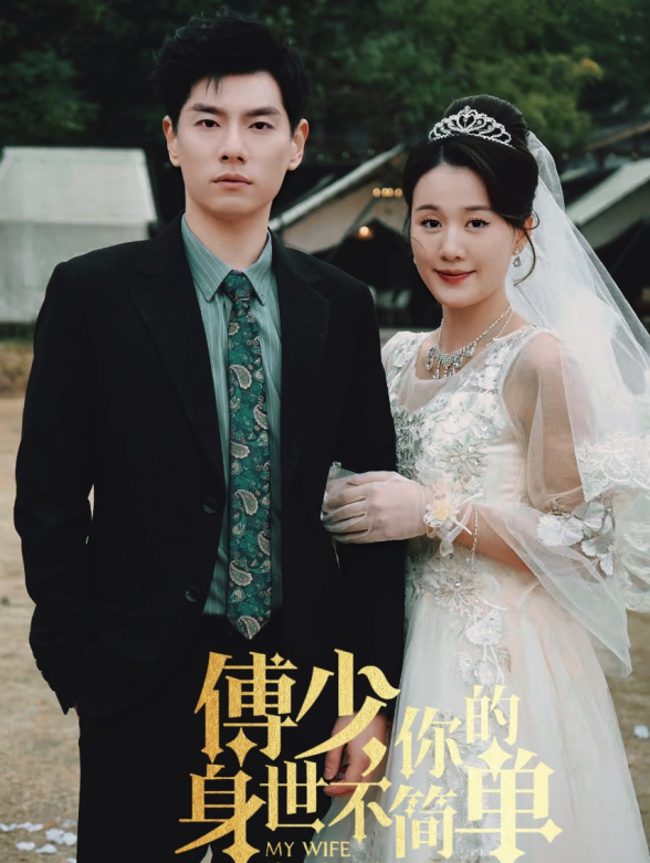 傅少你的身世不简单