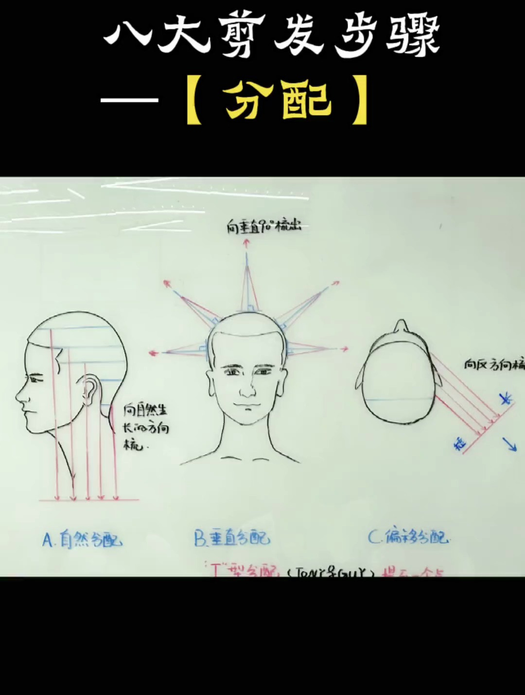 零基础的同学一定看过来