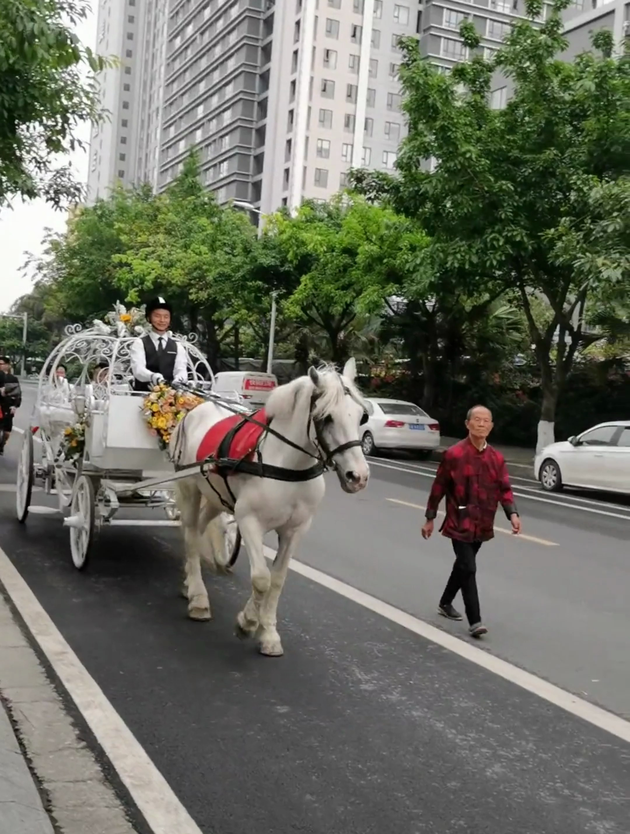 成都南瓜马车婚礼记祝一对新人新婚快乐永结同心