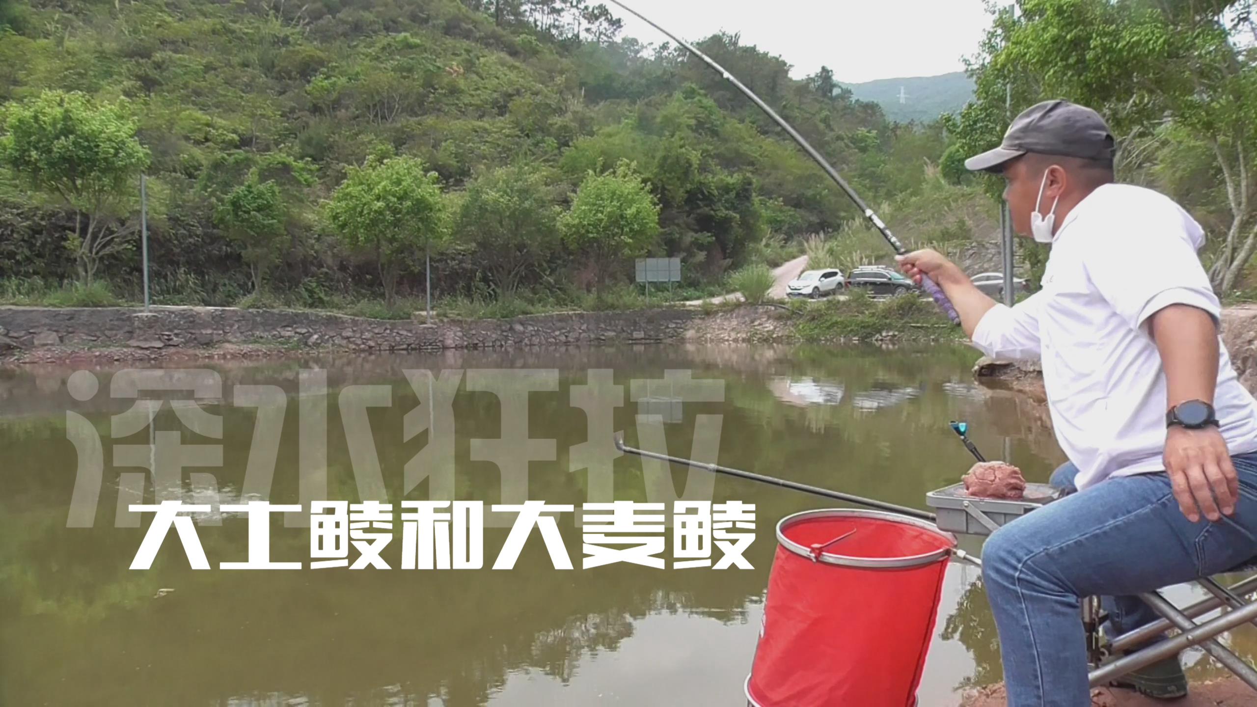 4米的深水狂拉大土鲮和麦鲮,手臂发酸肩膀发麻,钓得非常过瘾!