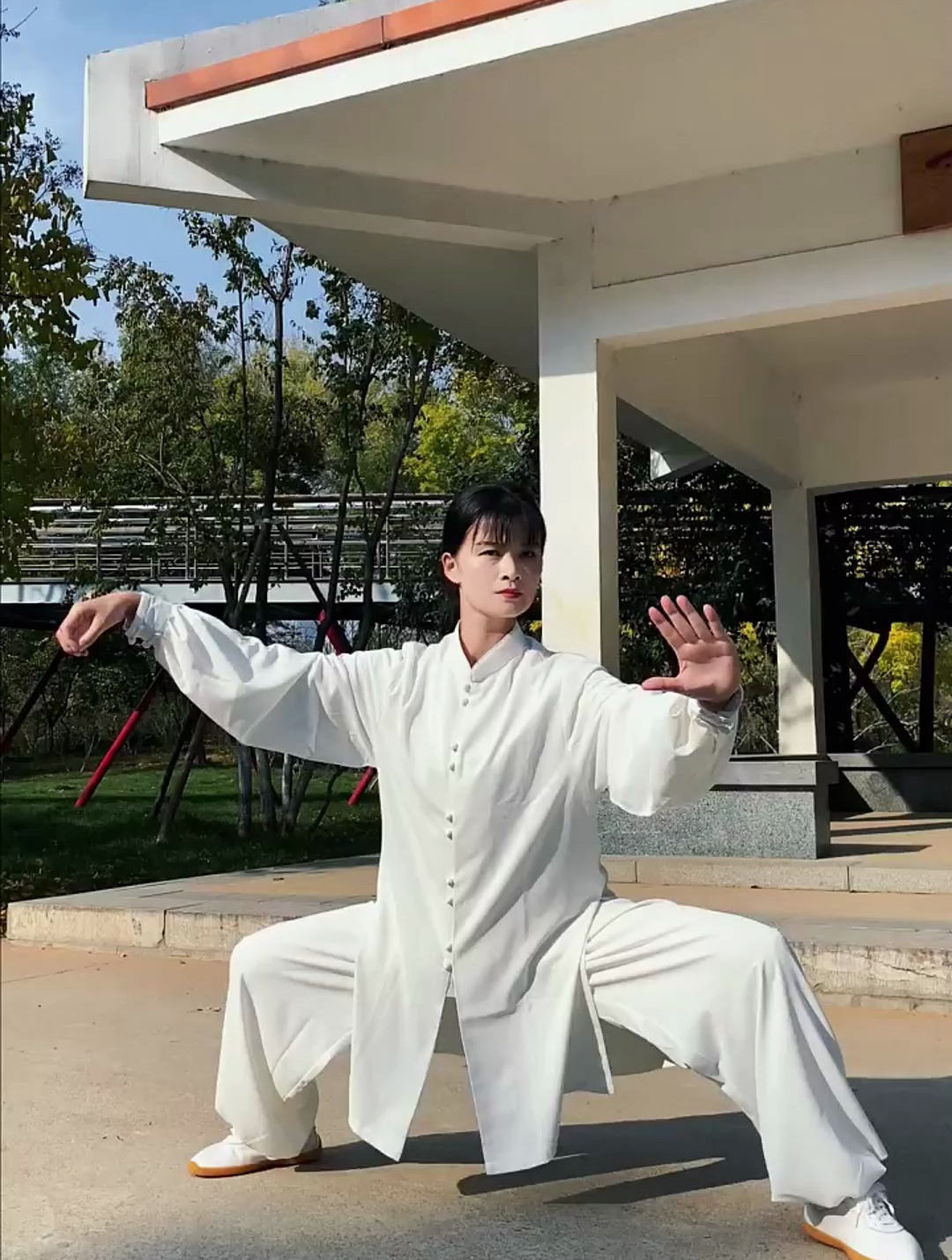 白鹤亮翅 太极 太极拳