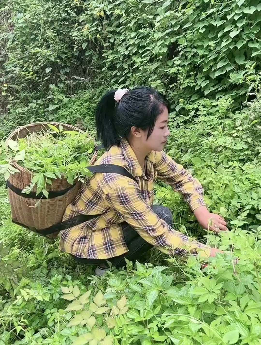 山里姑娘的农村生活