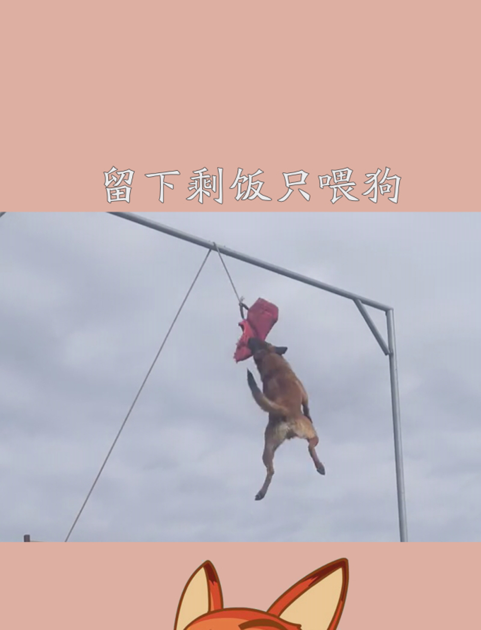 人见人穷,绕路走.狗见家穷,此相守,从此不交无意友.留下剩饭只喂狗