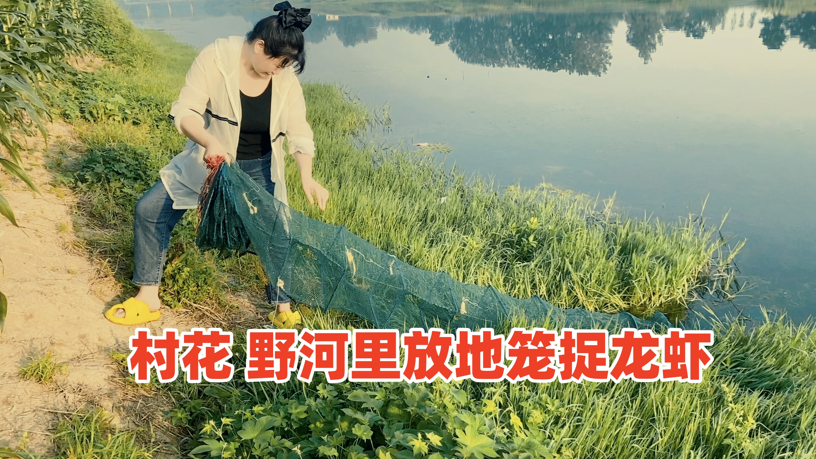 都说农村野河里鱼虾特别多,带上地笼撒一网,收网的时候惊呆了