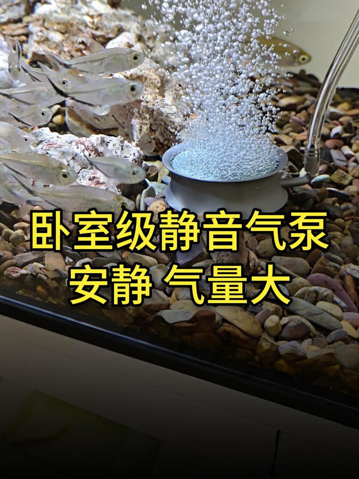 卧室级静音鱼缸增氧泵,还不贵,养鱼就该用这种