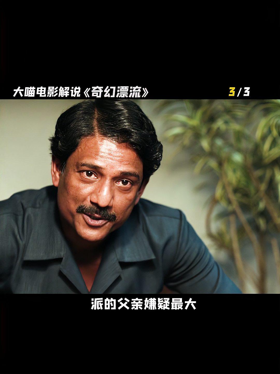 少年派的奇幻漂流深度解读