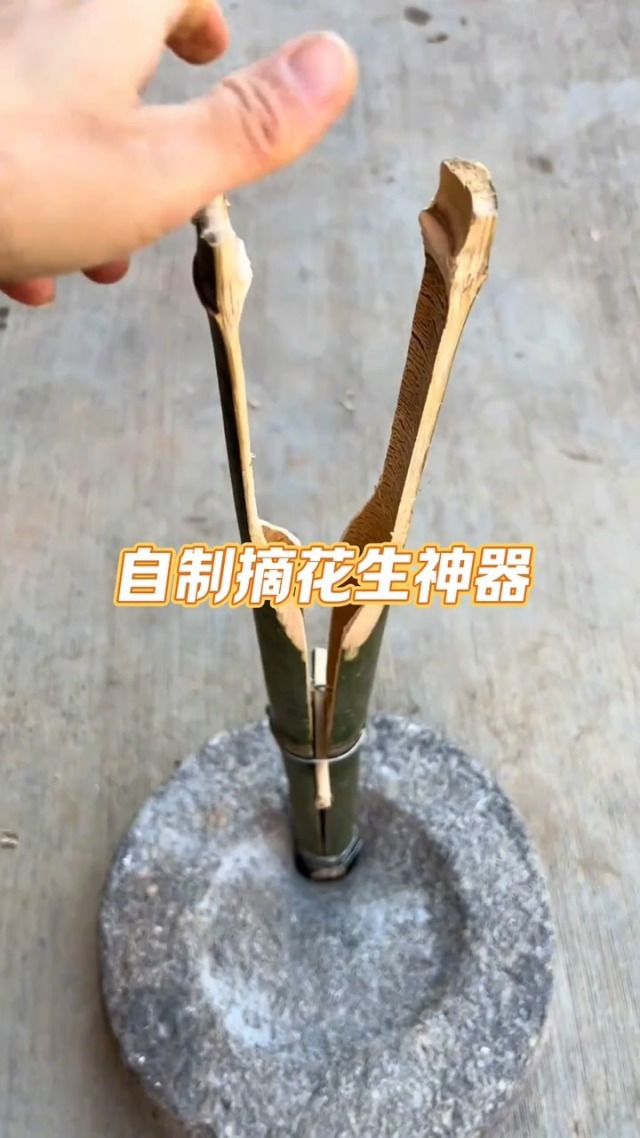 自制摘花生神器