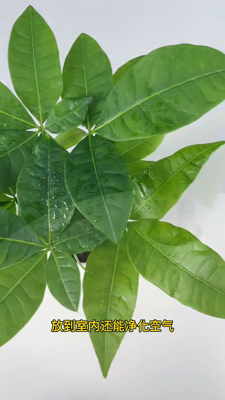 720_1280竖版 竖屏