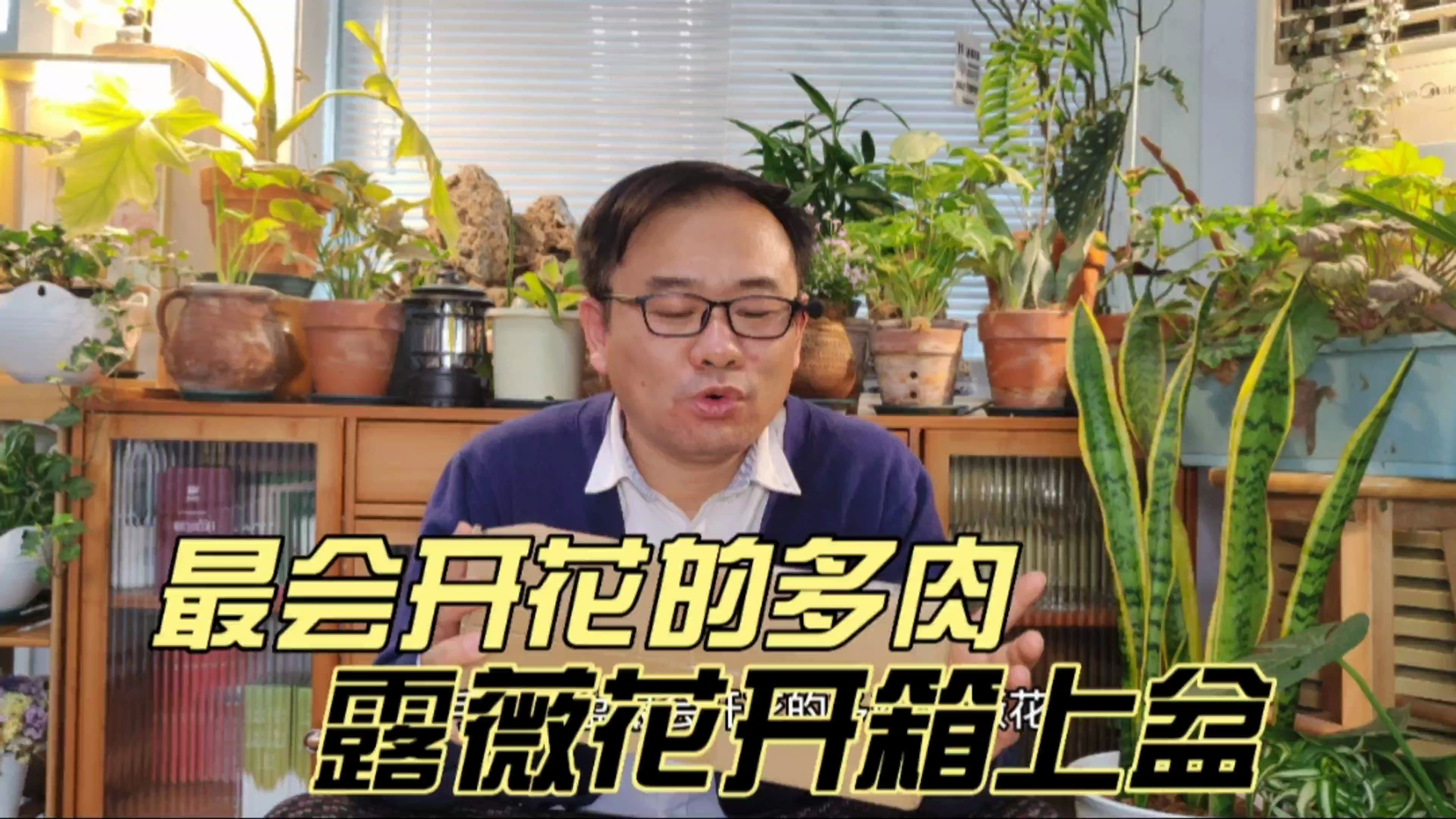 最会开花的多肉，露薇花开箱上盆，养护做好5件事，花量大花期长