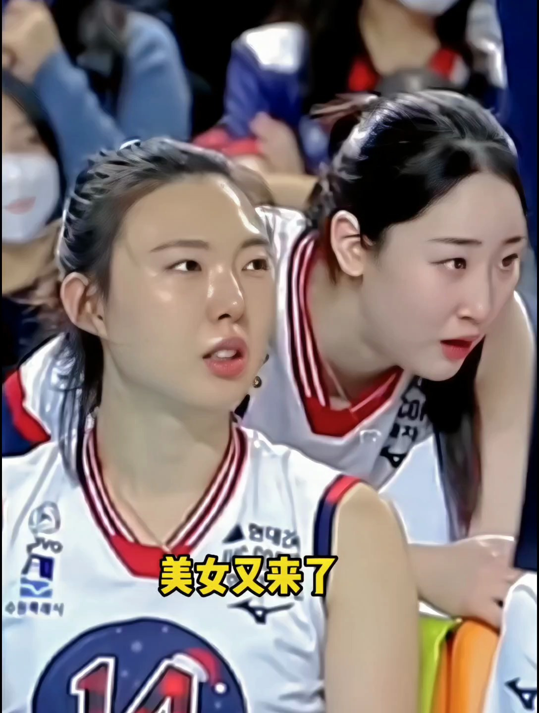 美女又来了韩国排球美女太漂亮了