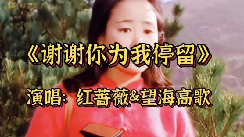《谢谢你为我停留》优美的旋律,醉人的歌声,唱出了爱的真谛,音乐,流行