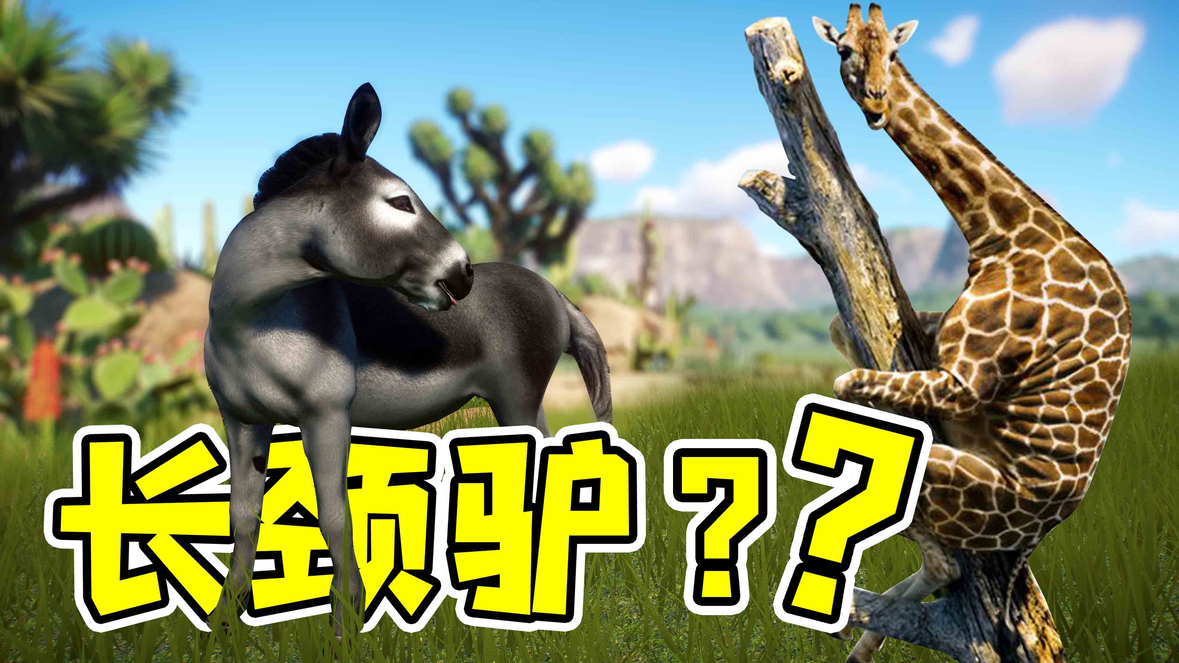动物园之星27：长颈鹿+驴=长颈驴？这就离谱！