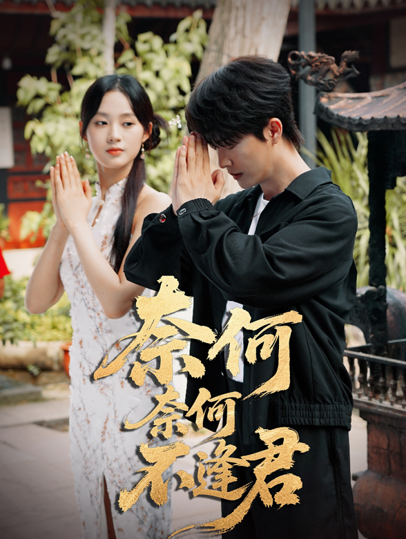 奈何奈何不逢君封面图