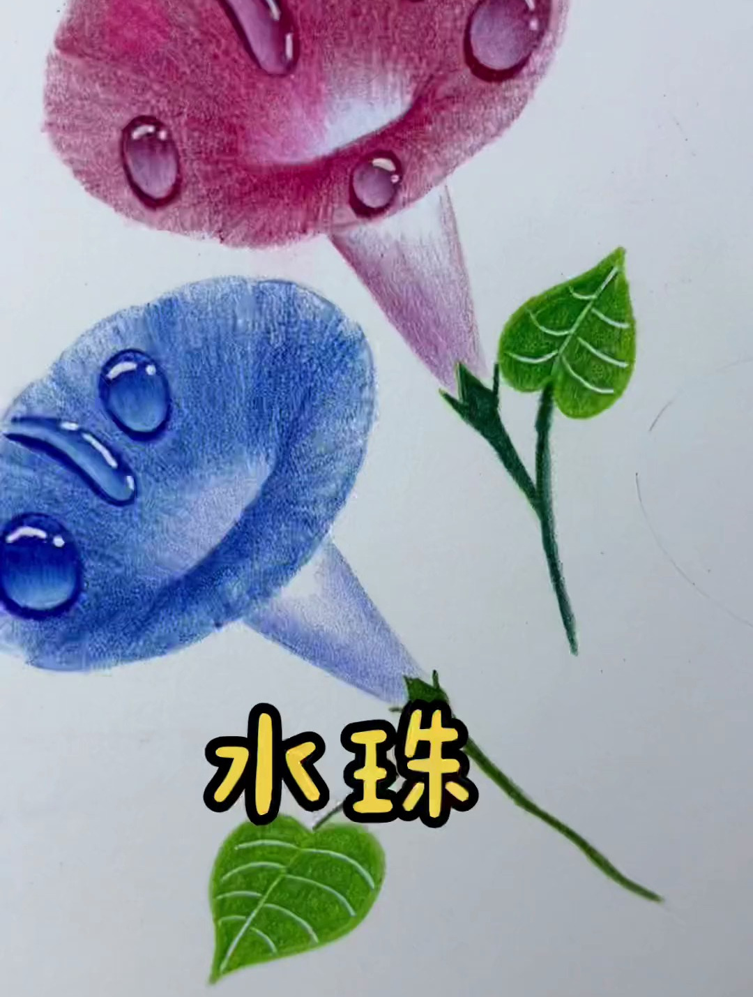 分享一个超级详细的彩铅水珠教程!