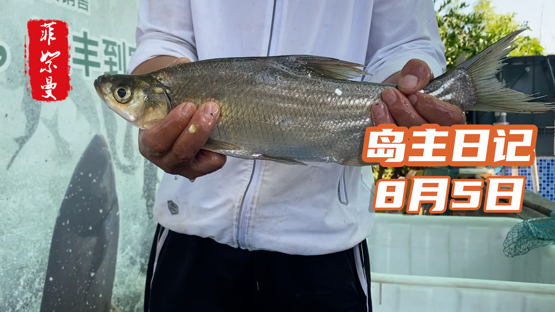 北京小马哥又狂拉鳊鱼,还钓了条我都不认识的鱼,还分享了心得