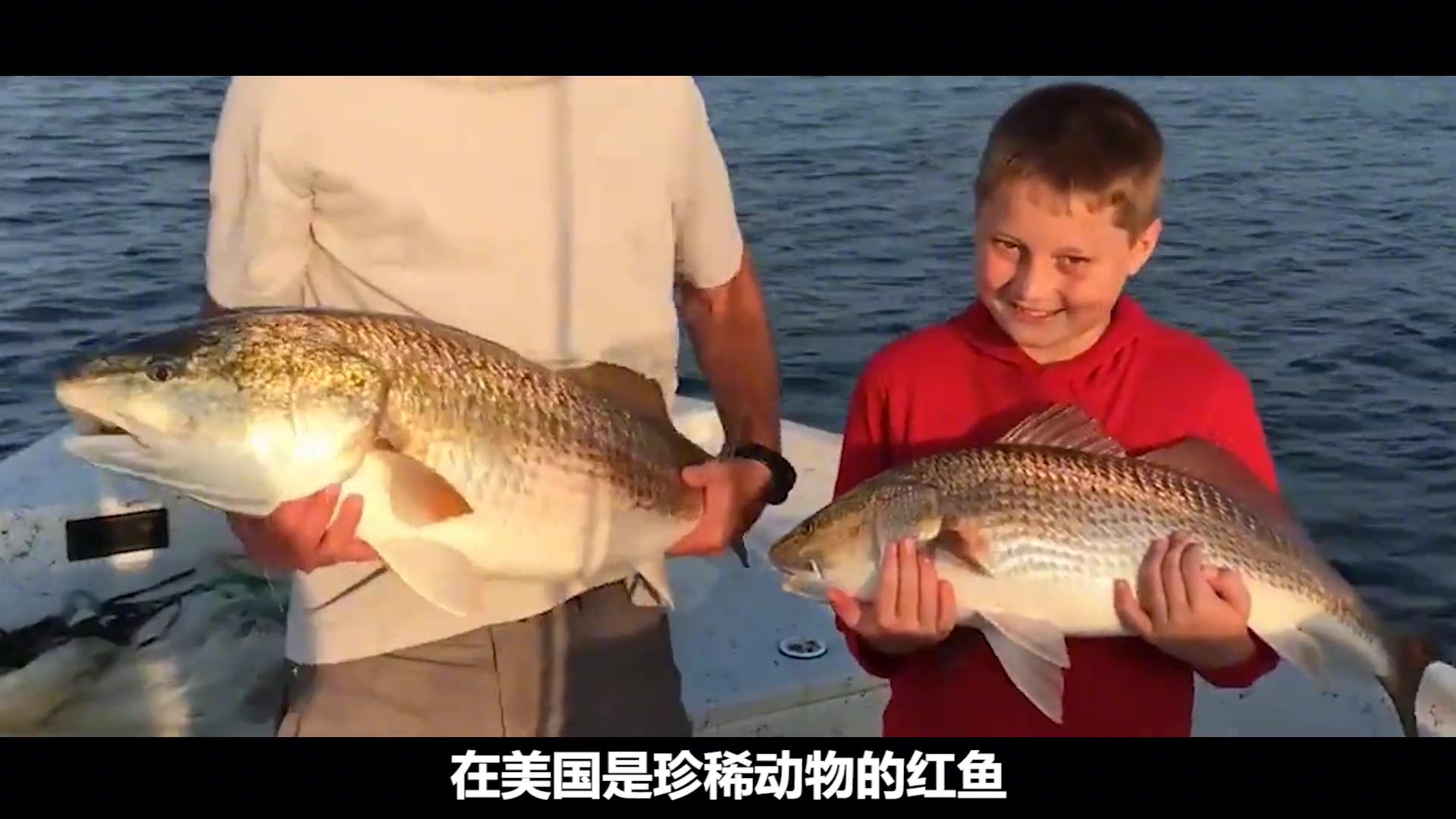 活久见,红鱼在美国被吃到濒危,在中国却成入侵物种?
