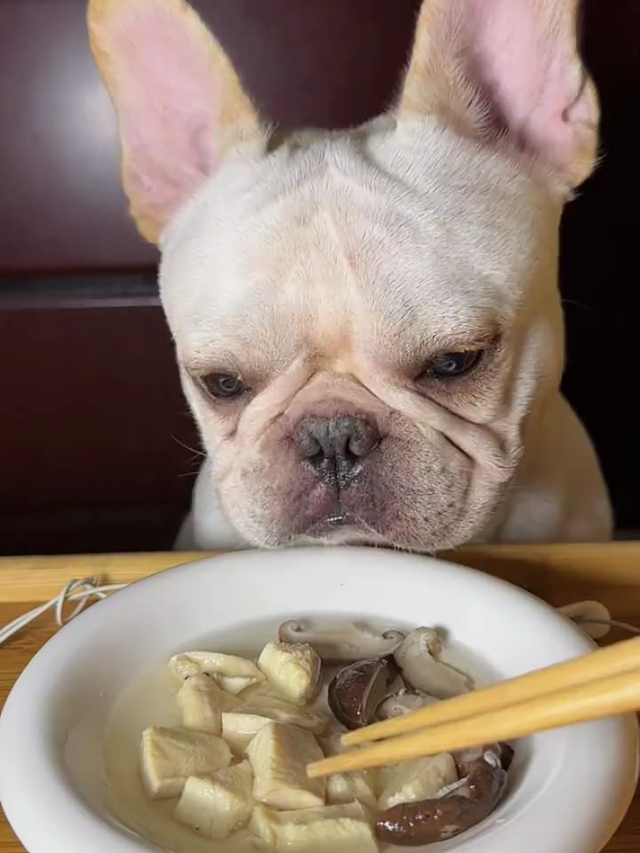 动物喜欢吃的食物图片