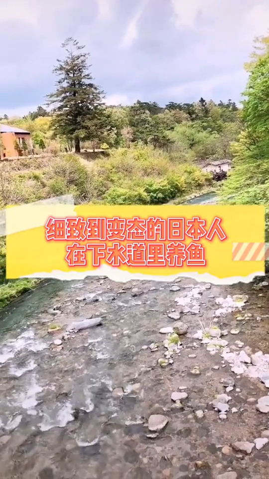 细致到变态的日本人在下水道里养鱼