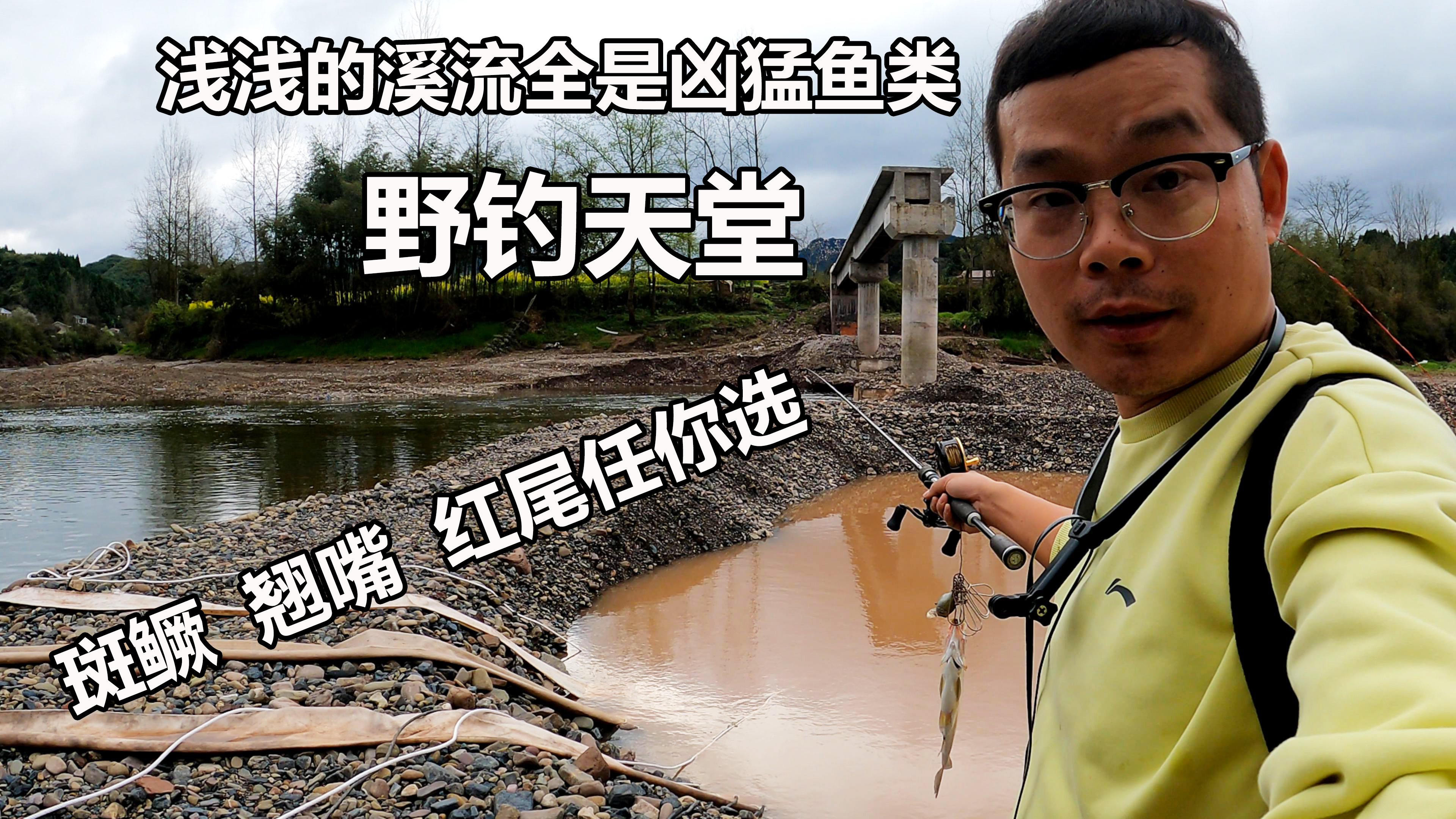 浅浅的溪流全是凶猛鱼类,流水处鱼情更是疯狂,这回钓过瘾了