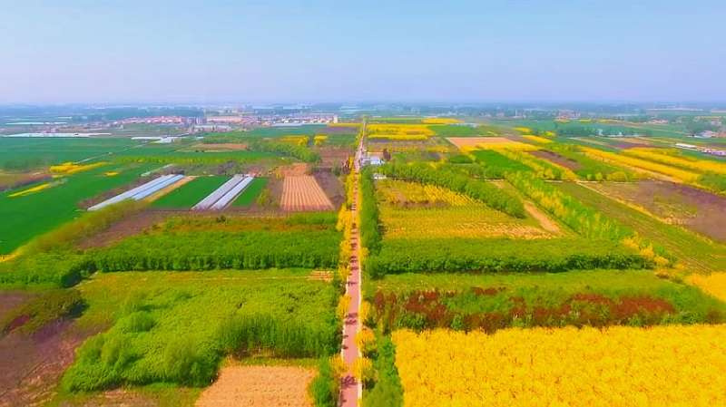 河南夏邑：绿色氧吧绘就乡村振兴新画卷,旅游,旅途风光,好看视频