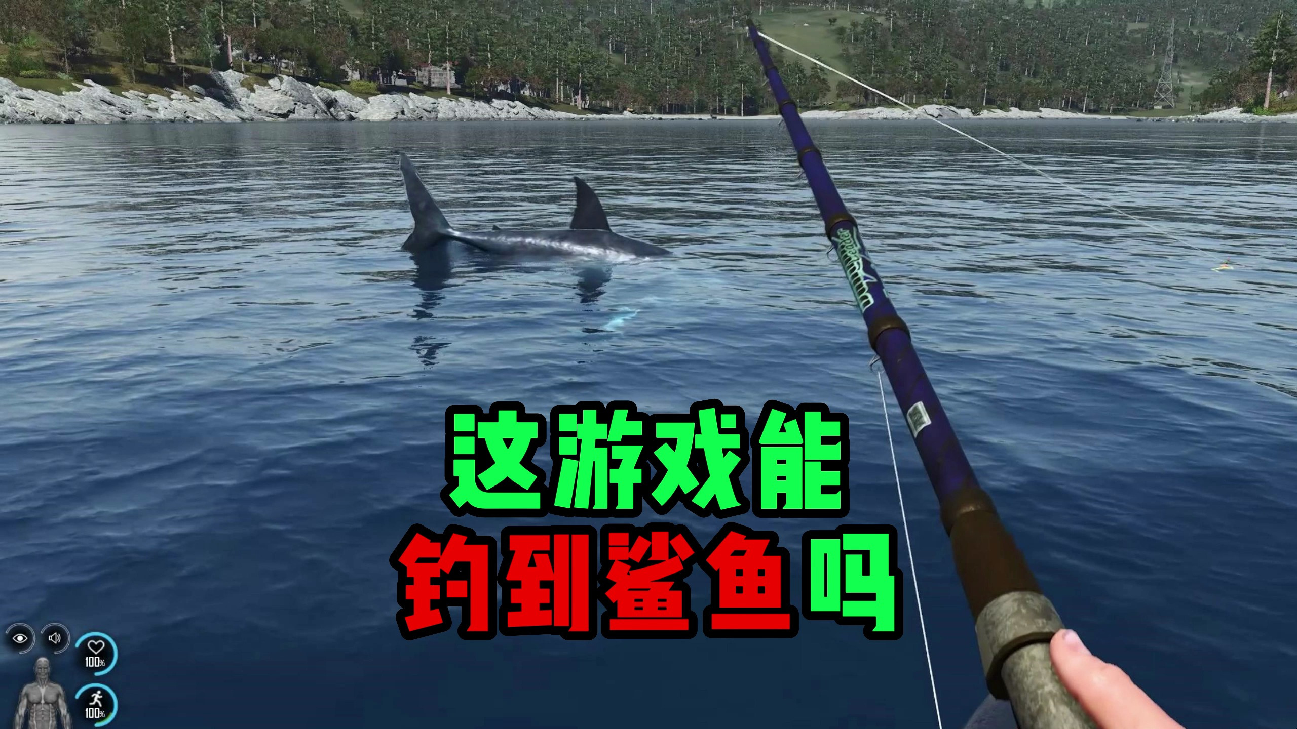 「SCUM」这游戏可以钓到鲨鱼吗?