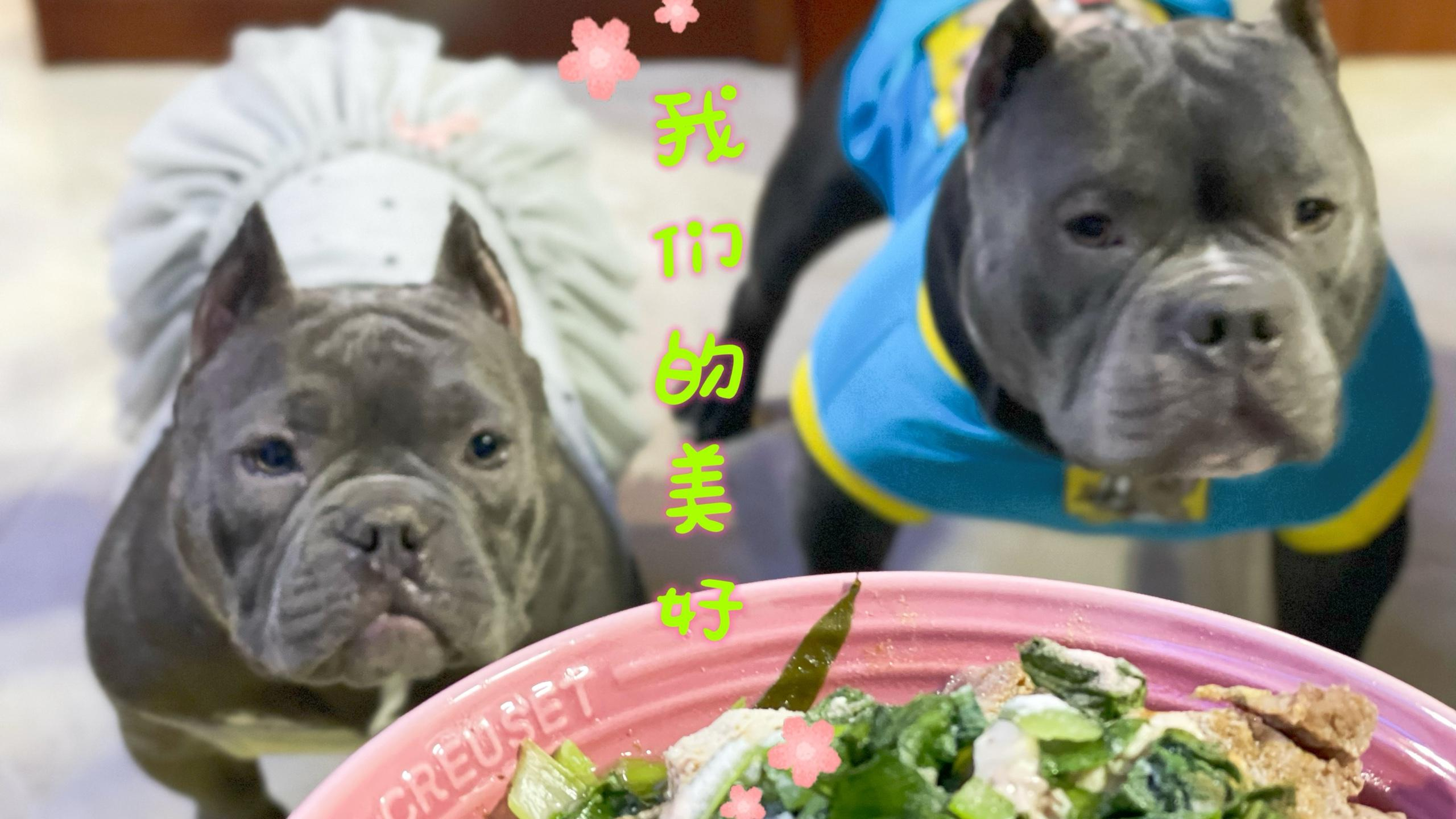 美丽看到冶春包子,口水都出来了