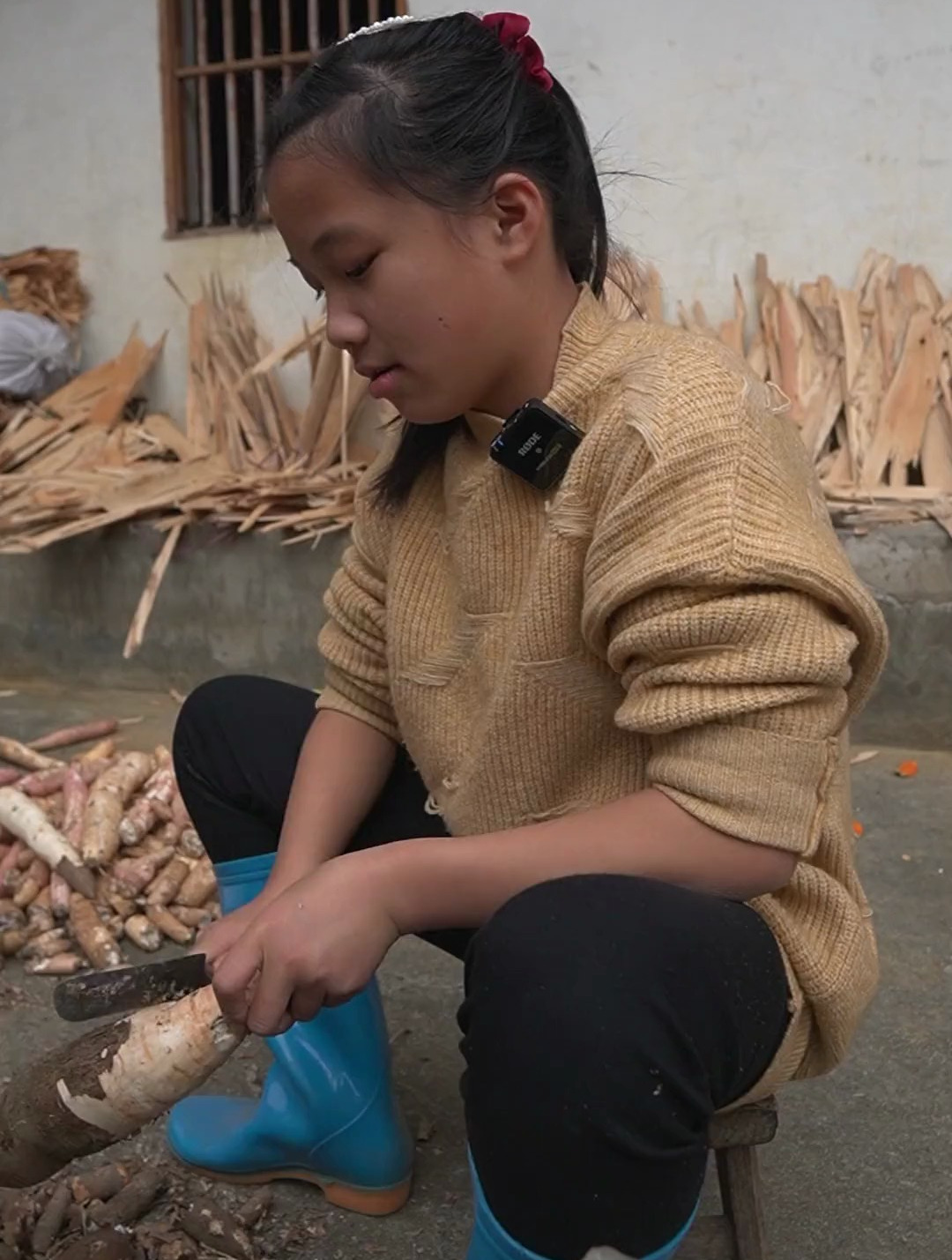 小孩子时刮木薯图片图片