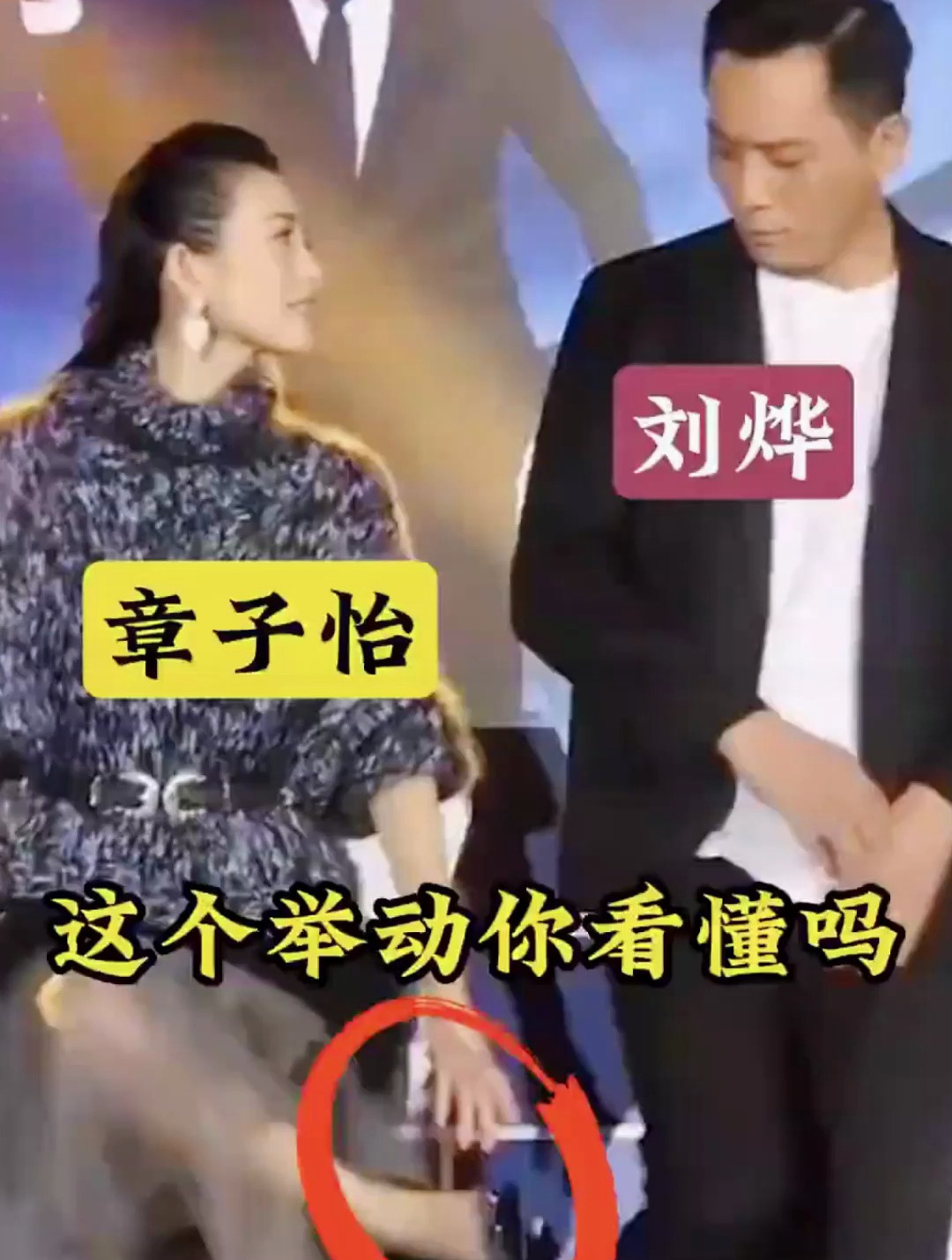 刘烨章子怡参加活动,注意两人的举动,你看懂了吗!