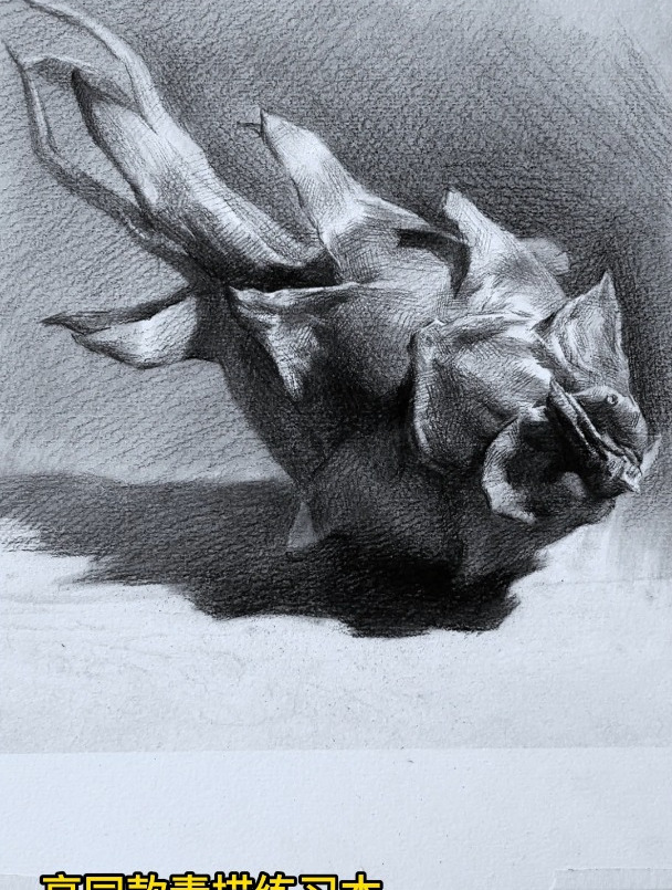 火龙果素描的排线练习!