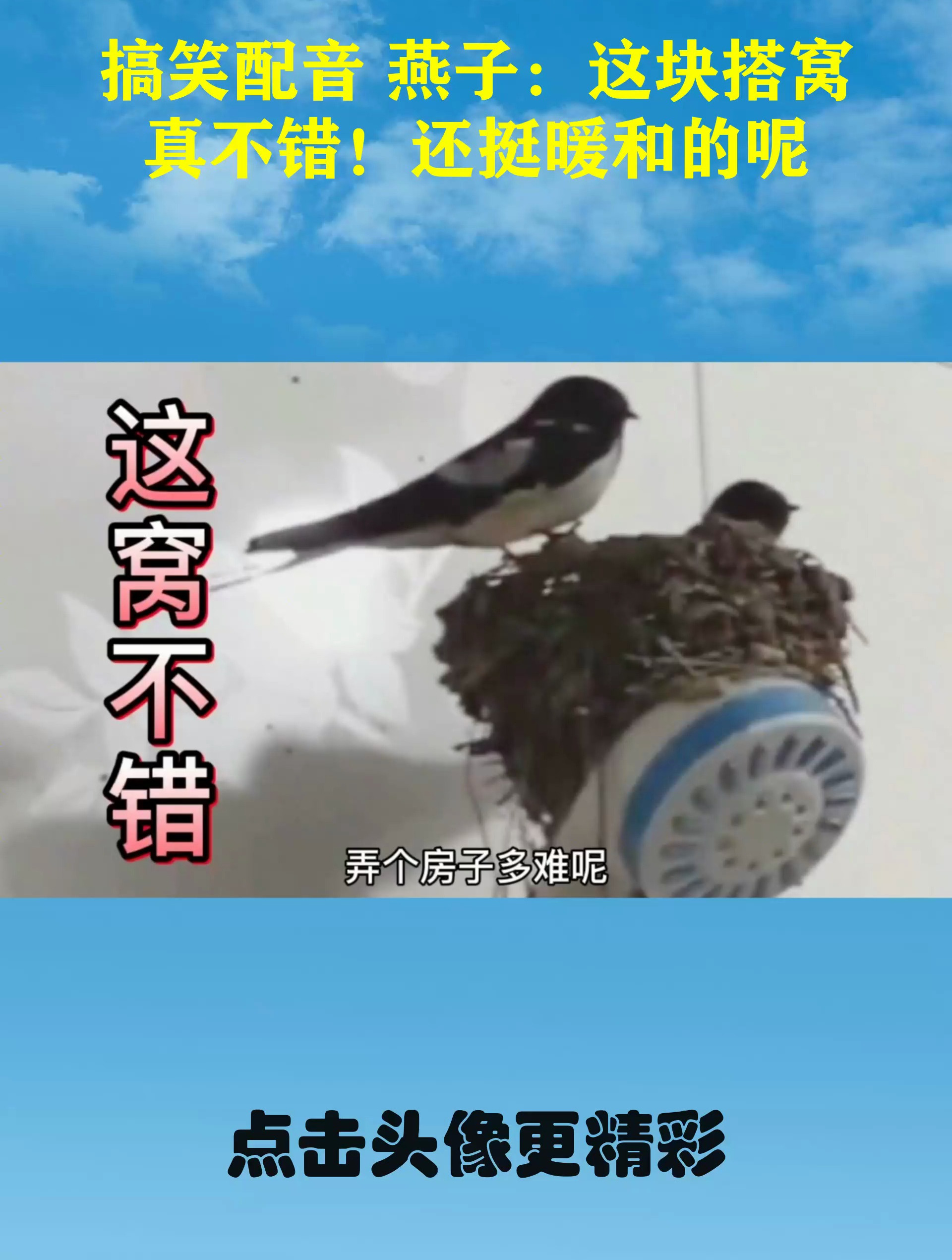 搞笑配音燕子这块搭窝真不错还挺暖和的呢