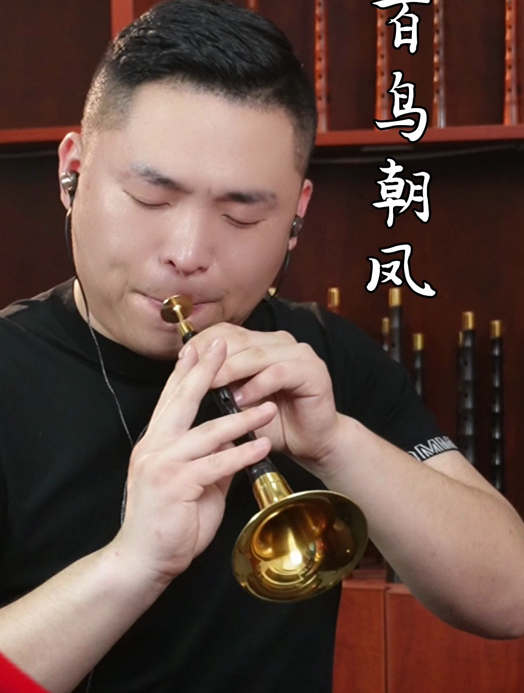 百鸟朝凤 唢呐代表作就是这么好听!