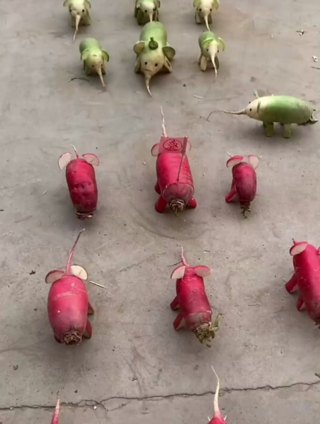 她说这是群英荟萃,我看着是萝卜开会!你们看好哪一队!