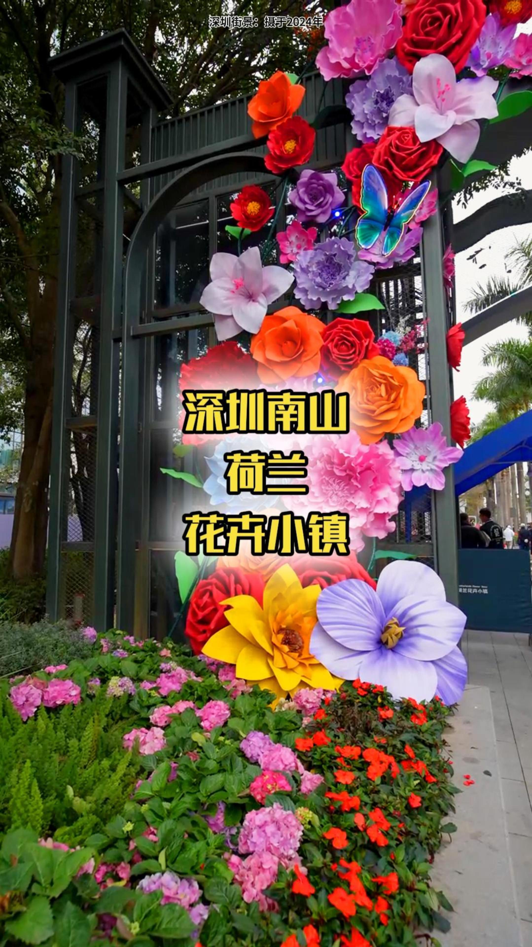 深圳南山荷兰花卉小镇花市 逛花街-度小视
