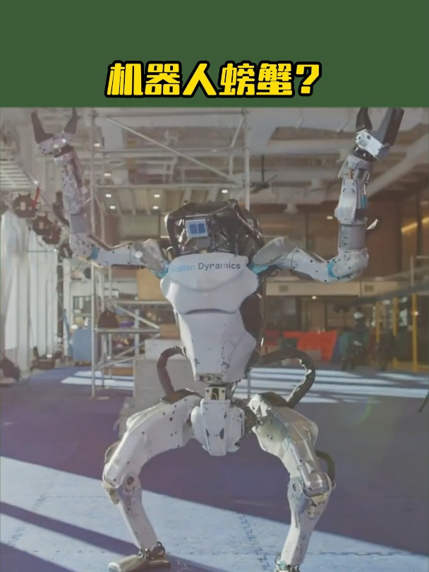 「煌苑」机器人螃蟹?