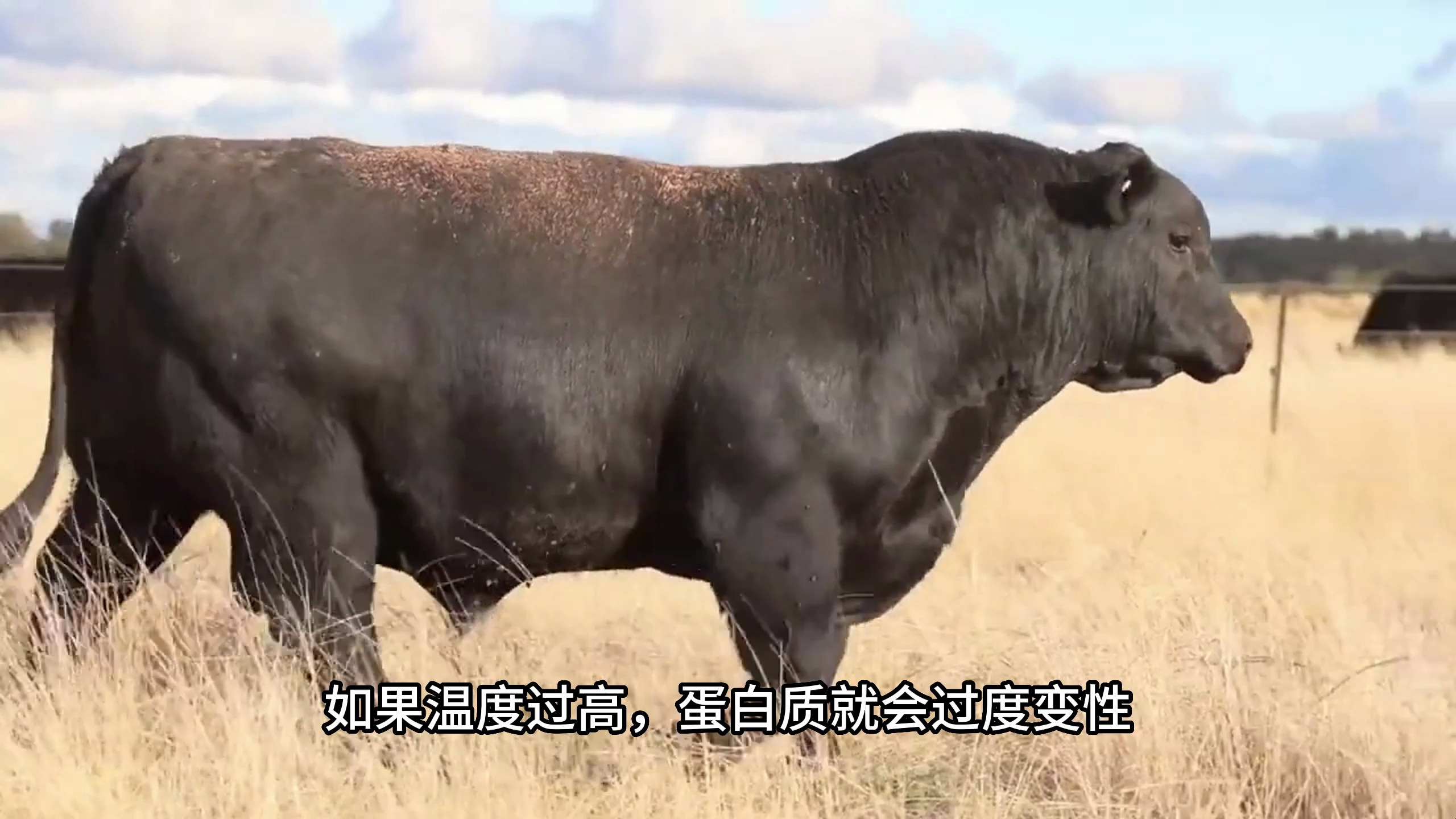 煮黄豆和炒黄豆,有什么区别?