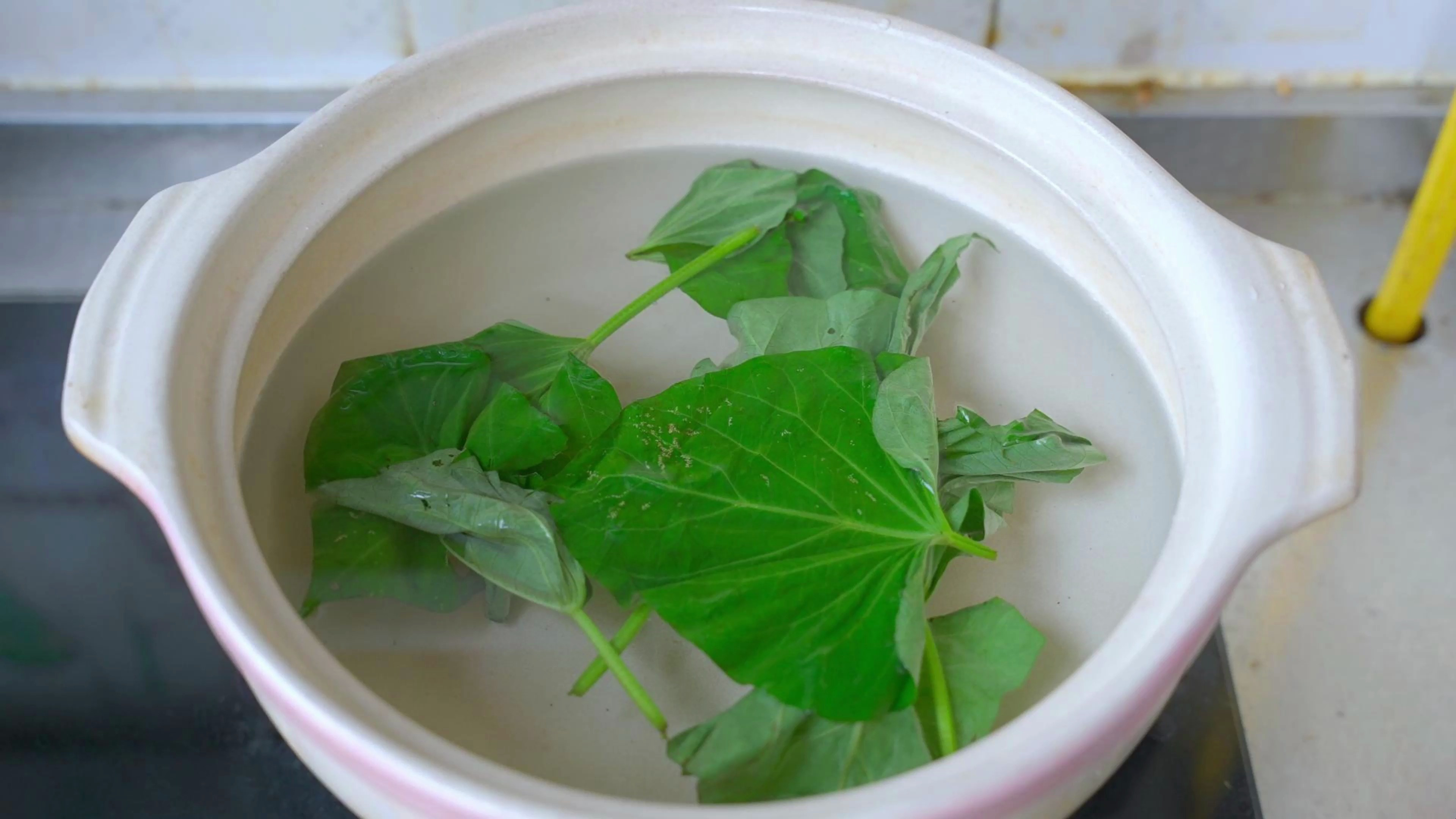 红薯叶子不要扔,是个宝放砂锅里煮一煮,解决很多人烦恼,真厉害
