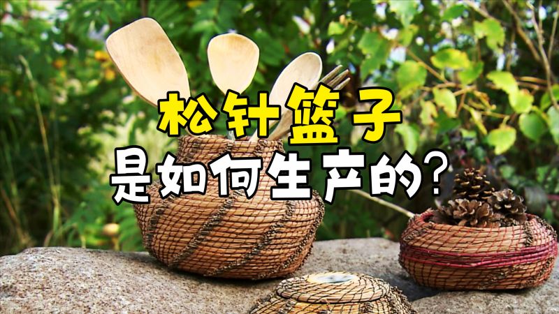 松针篮子是如何编织的？先将松针蒸煮5分钟，再编织成螺纹形状