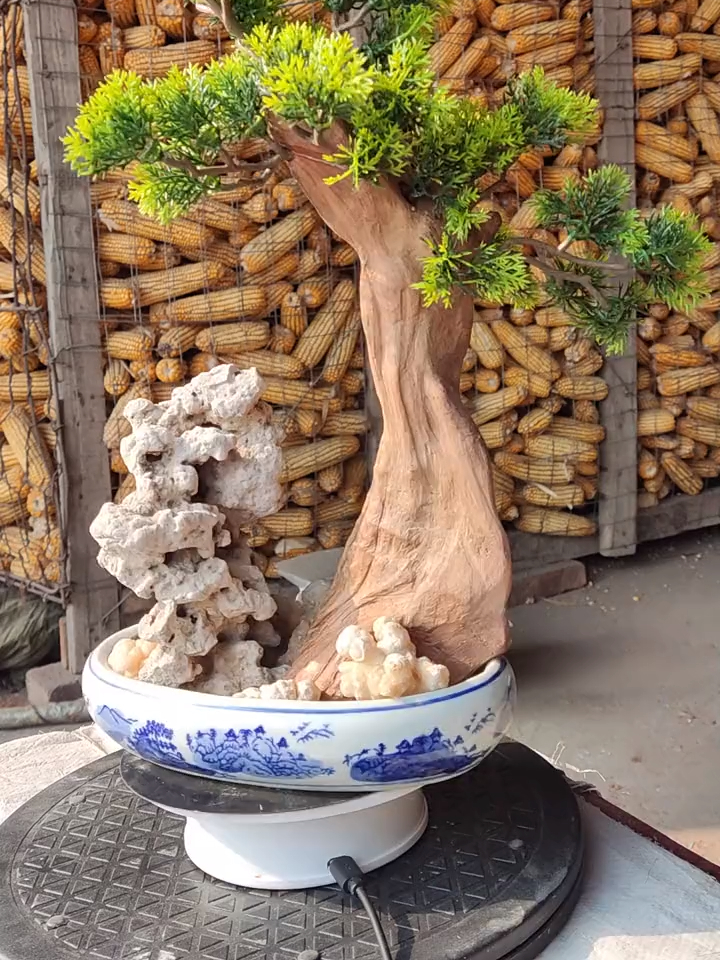 用太行山的抱石和崖柏根艺做一个假树盆景摆件-度小视