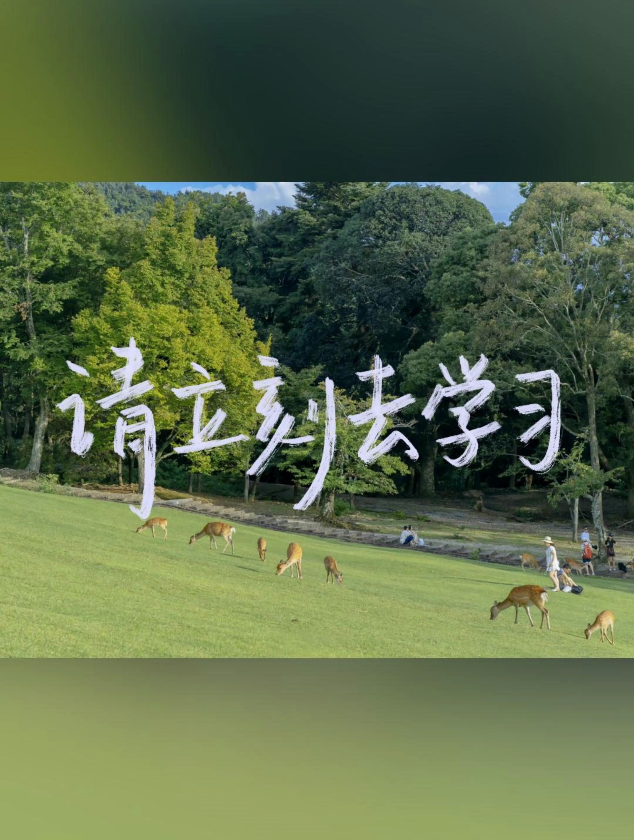 学习不止步,励志壁纸送给正在奋斗的你!