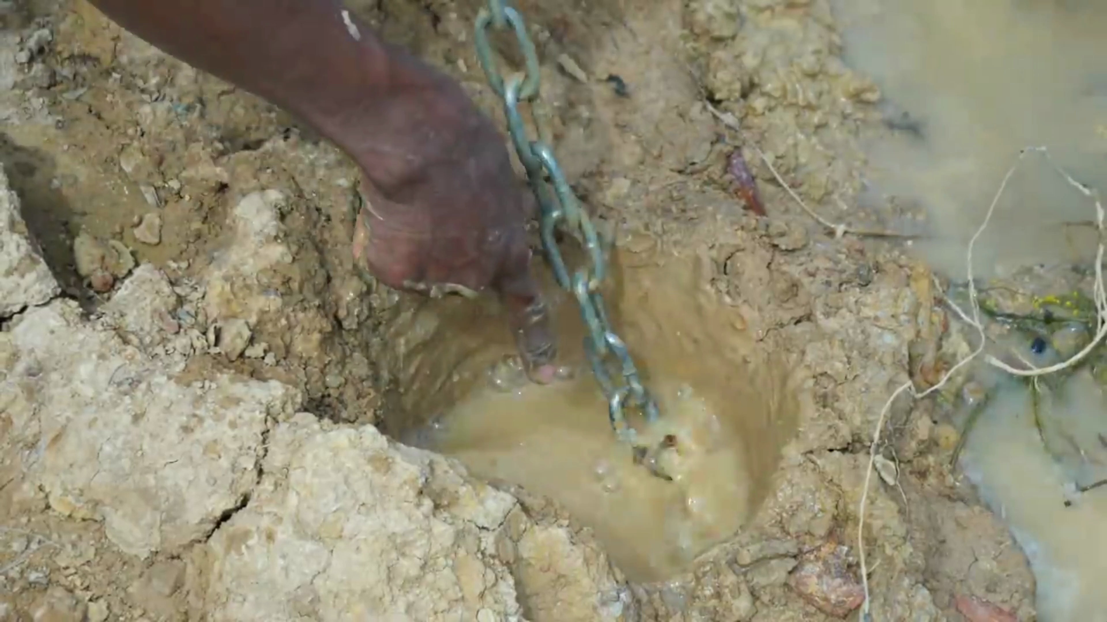 小哥用小鸡当诱饵,溪流边的洞穴内,钓上来一条大鳊鱼