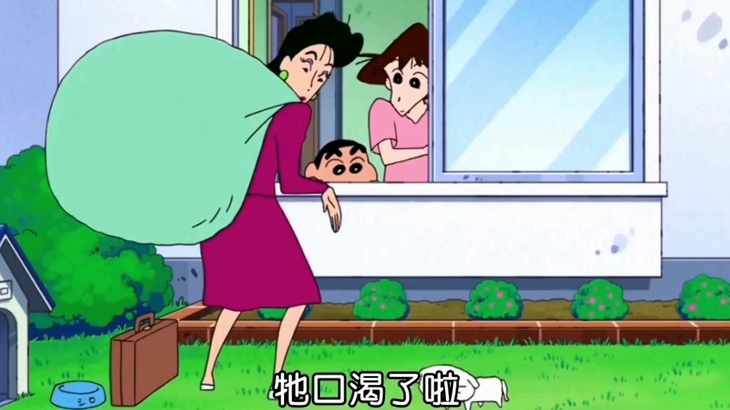 蜡笔小新:小新的小白狗!