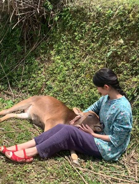 小牛睡觉姐姐还不老实,动手动脚的,小牛都烦了