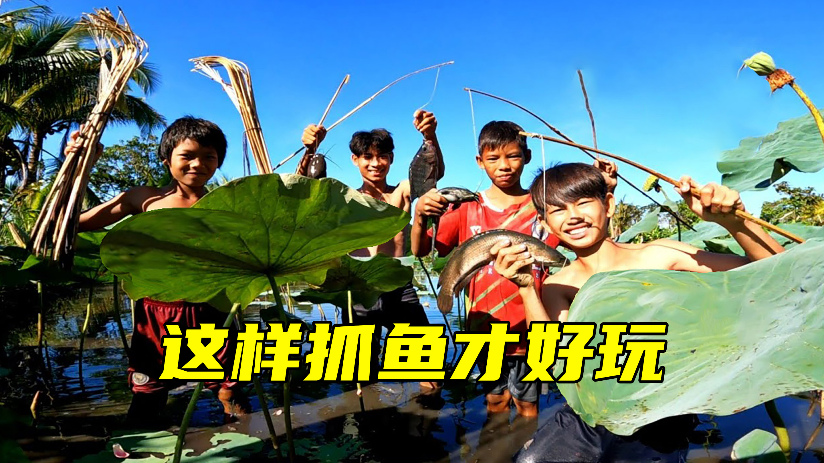夜晚荷塘里的鱼特别多,孩子不用鱼竿钓了30斤,一星期不愁没肉吃