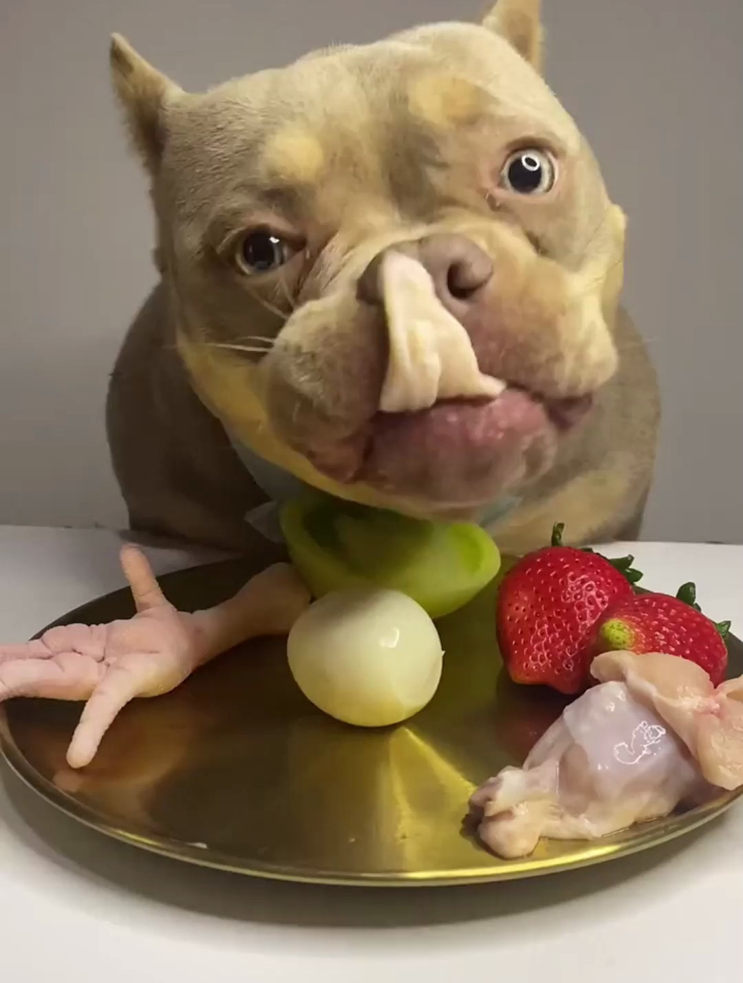 恶霸犬傲娇的小表情