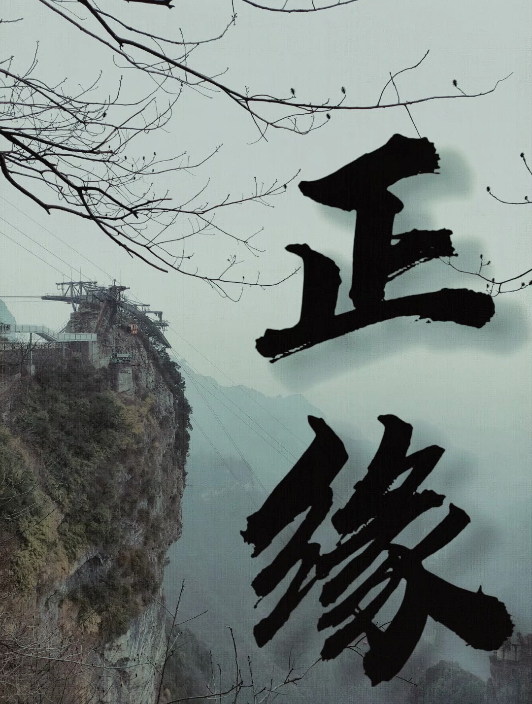 如何准确判断自己的正缘来了呢?